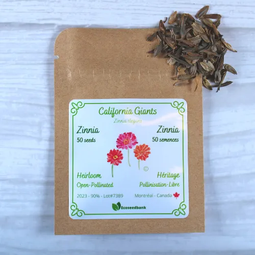 California Giants Zinnia Seeds