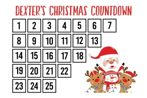 Christmas Countdown Pillowcase (red crayon included)