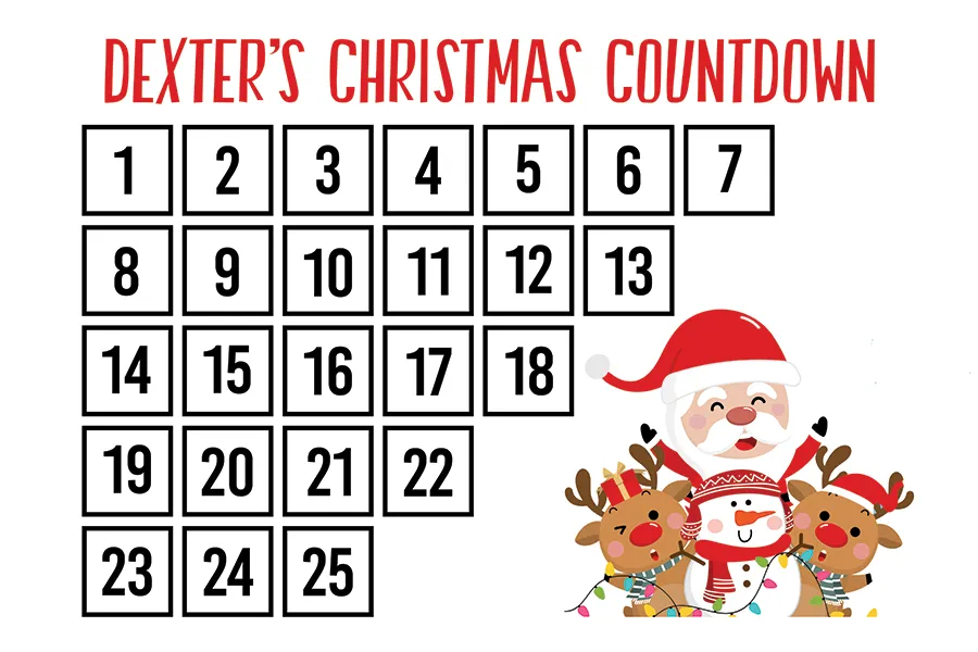 Christmas Countdown Pillowcase (red crayon included)