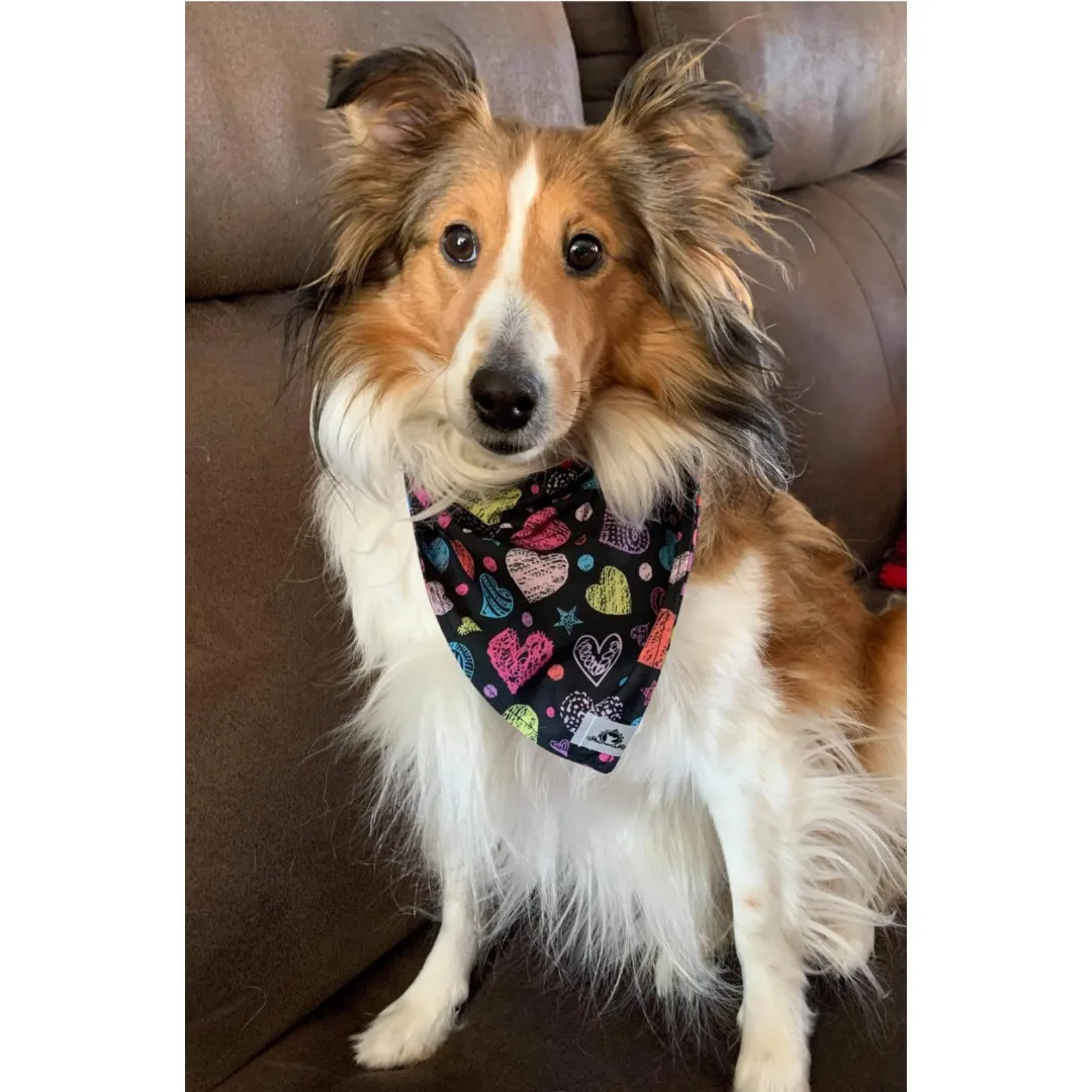 Foulard chic pour grand chien - Feuillage beige argenté