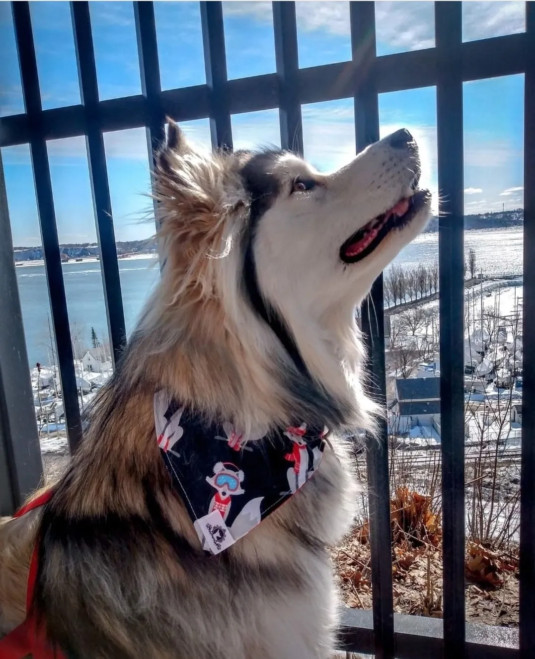 Foulard chic pour grand chien - Feuillage beige argenté