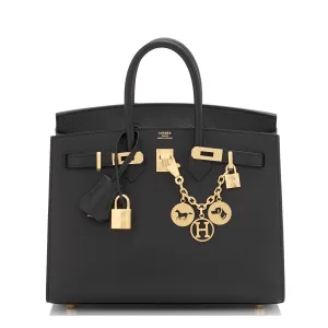 Hermes Birkin 25 Sellier Black Epsom Gold Hardware
