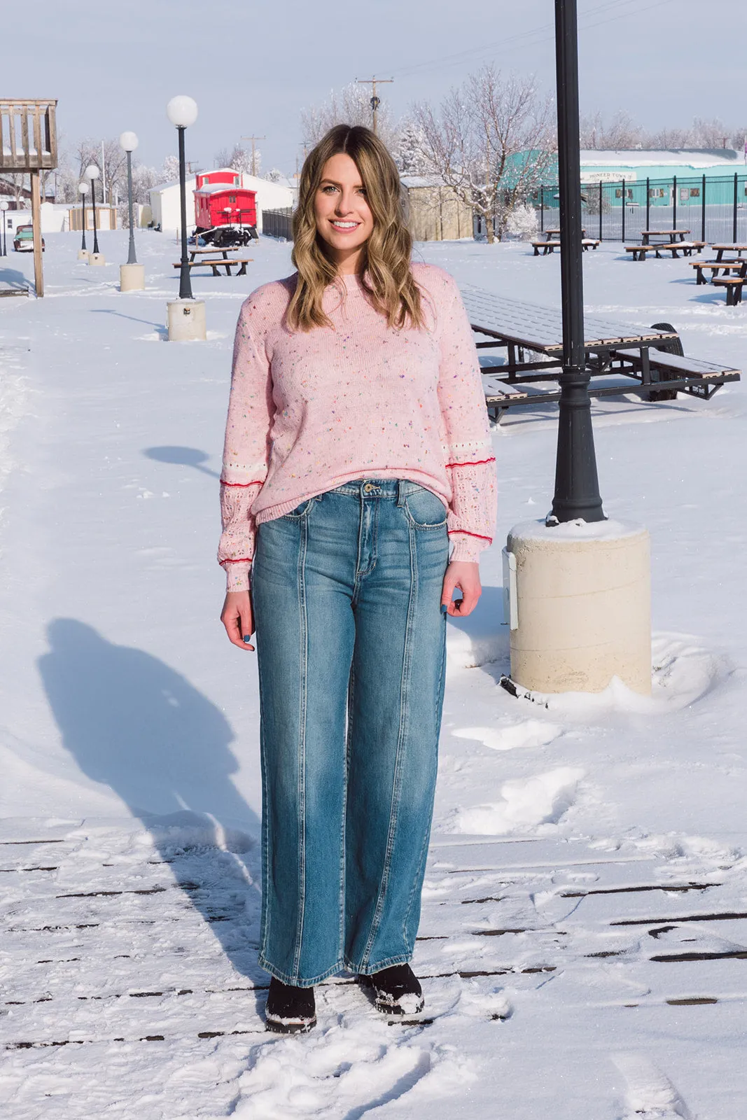 Mickie High Rise Seam Front Jean