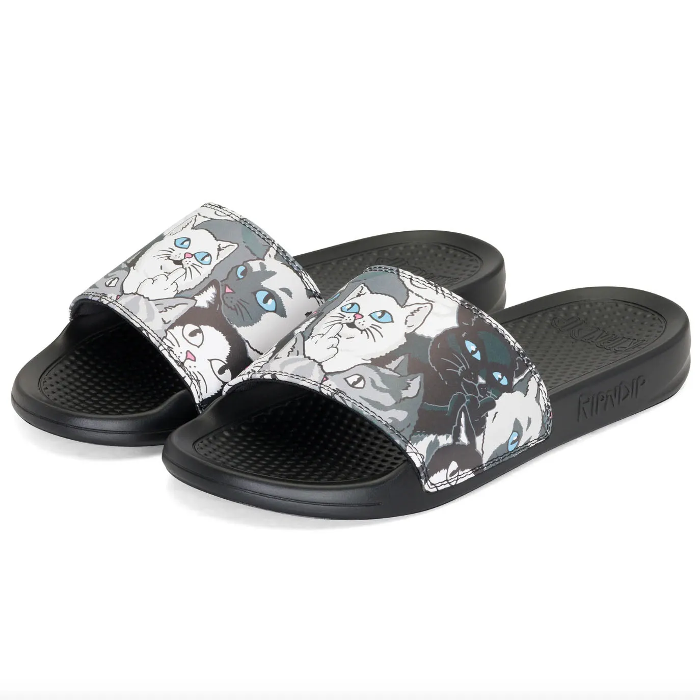 RIPNDIP Family Tree Slides Black