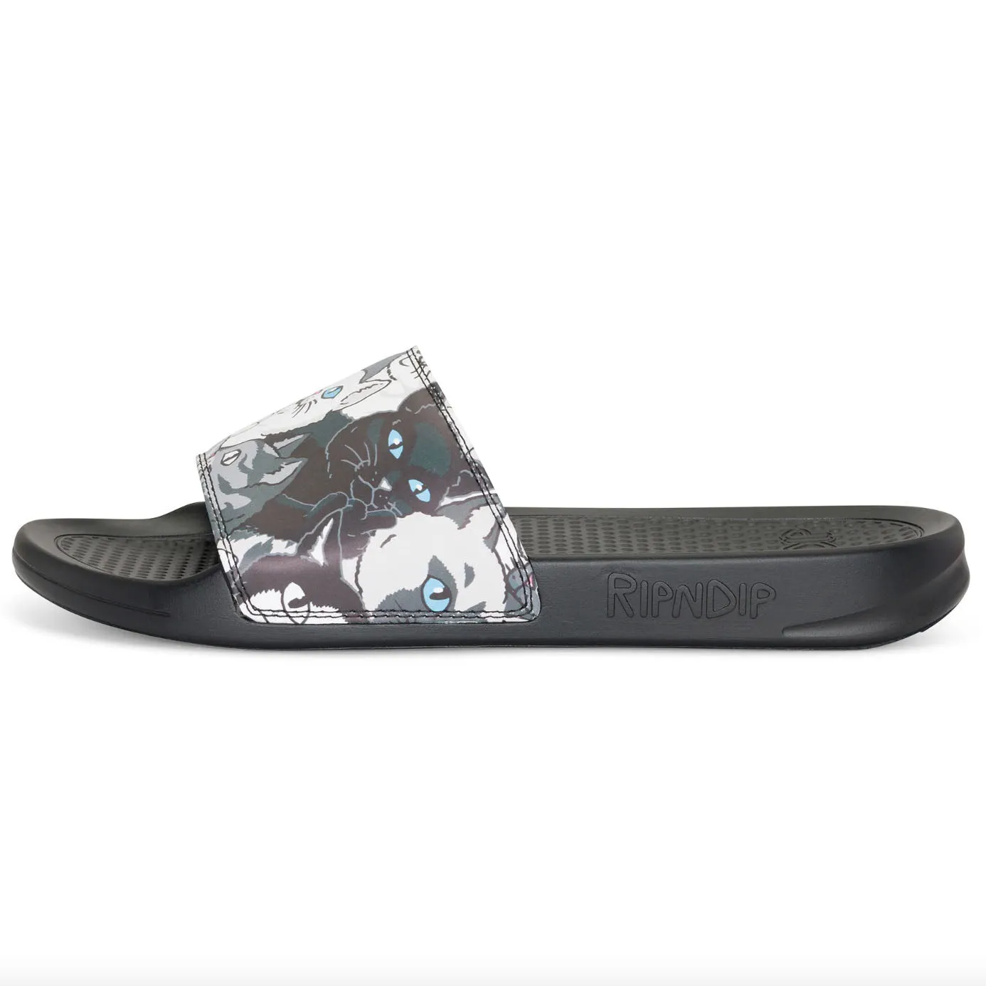 RIPNDIP Family Tree Slides Black