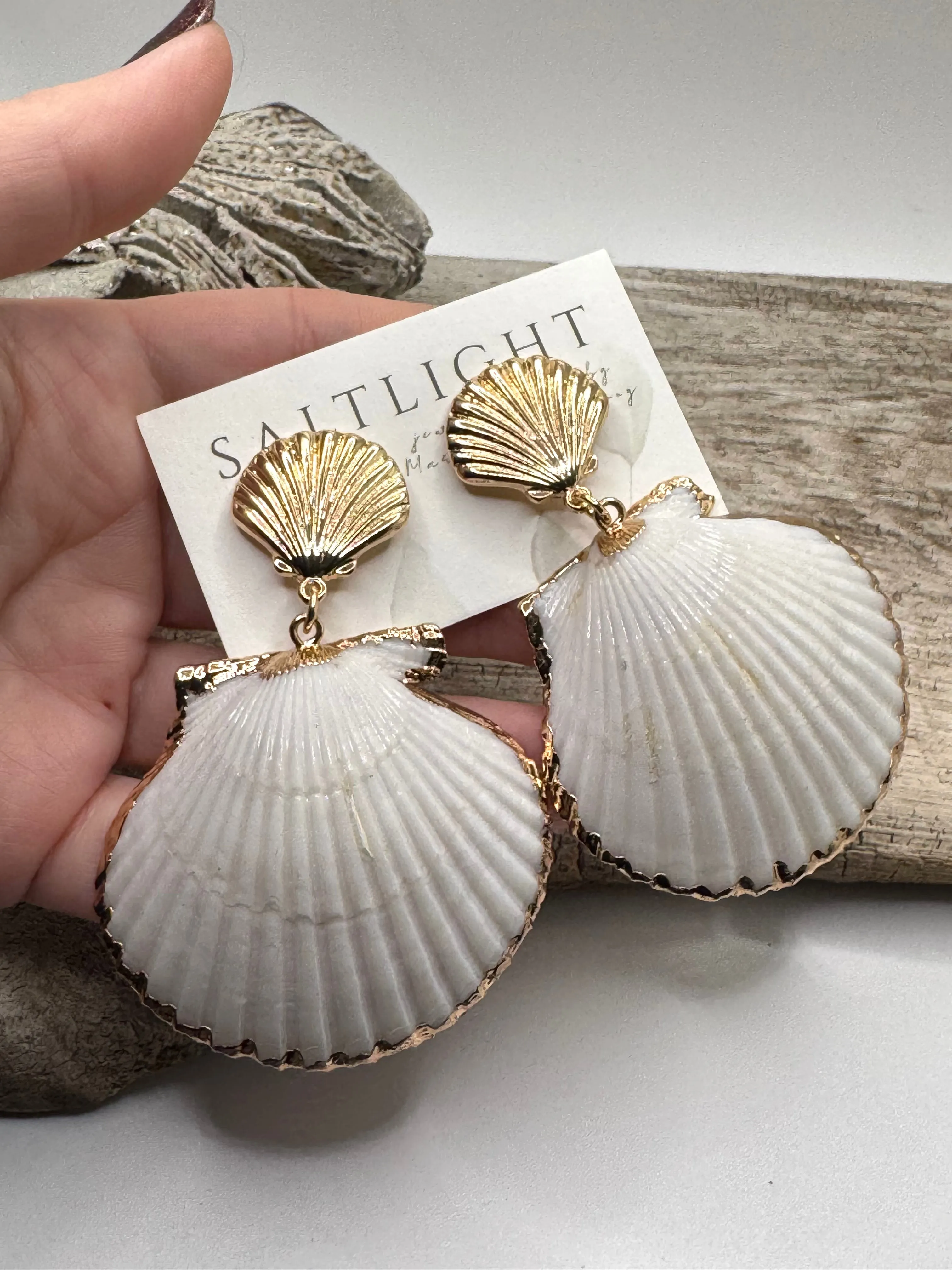 Sea Shells