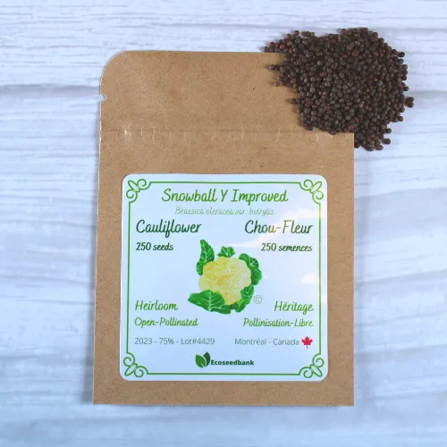 Snowball Y Improved Cauliflower Seeds