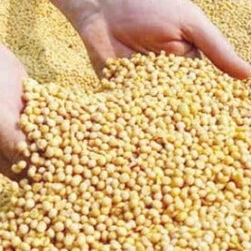 Soya Beans high protein and decent source carbohydrate and fat